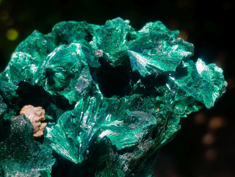 Natural Silky Malachite Specimens x 3 From Kasompe, Congo - Toprock Gemstones and Minerals 