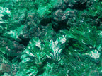 Natural Silky Malachite Specimens x 3 From Kasompe, Congo - Toprock Gemstones and Minerals 