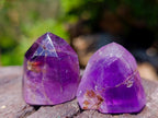 Polished Window Amethyst Crystals x 20 From Akansobe, Madagascar - Toprock Gemstones and Minerals 