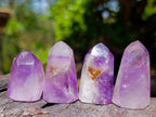 Polished Window Amethyst Crystals x 20 From Akansobe, Madagascar - Toprock Gemstones and Minerals 