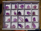Polished Window Amethyst Crystals x 20 From Akansobe, Madagascar - Toprock Gemstones and Minerals 