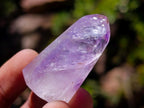 Polished Window Amethyst Crystals x 20 From Akansobe, Madagascar - Toprock Gemstones and Minerals 