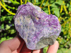 Natural Cobbed Stichtite Specimens x 12 From Barberton, South Africa - Toprock Gemstones and Minerals 