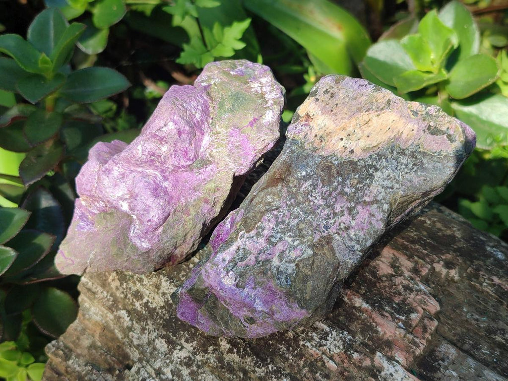 Natural Cobbed Stichtite Specimens x 12 From Barberton, South Africa - Toprock Gemstones and Minerals 