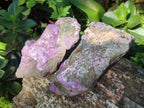 Natural Cobbed Stichtite Specimens x 12 From Barberton, South Africa - Toprock Gemstones and Minerals 
