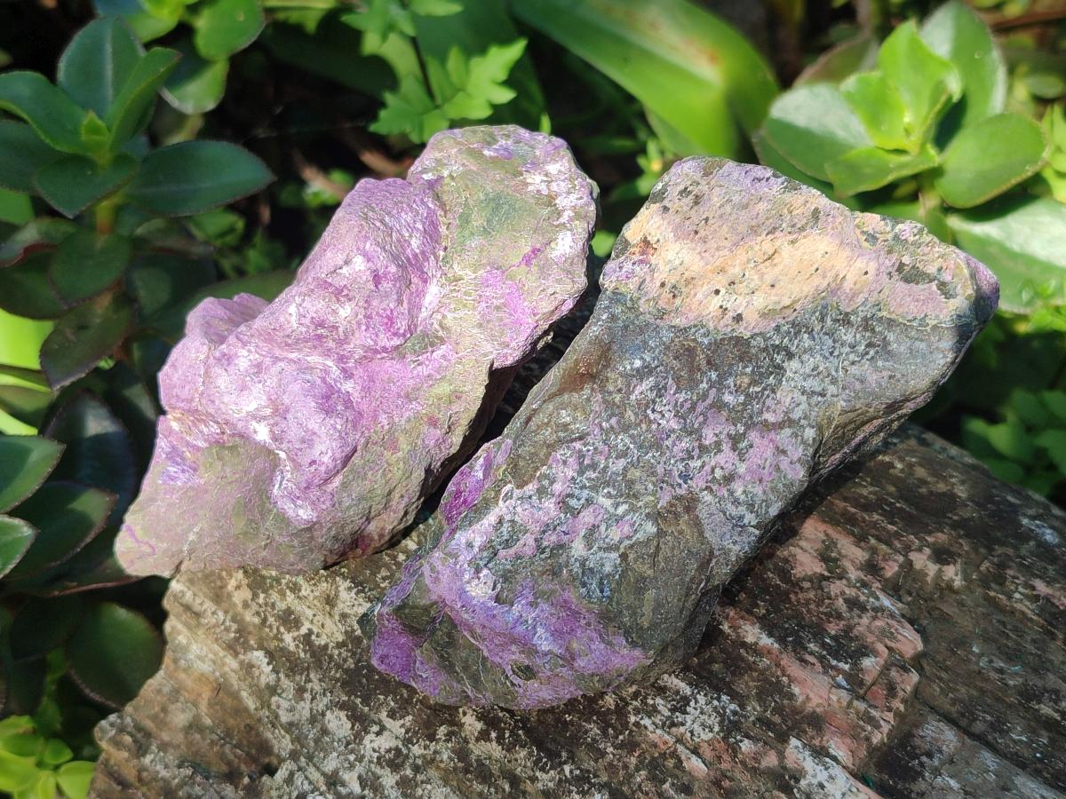 Natural Cobbed Stichtite Specimens x 12 From Barberton, South Africa - Toprock Gemstones and Minerals 