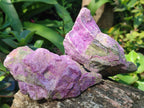 Natural Cobbed Stichtite Specimens x 12 From Barberton, South Africa - Toprock Gemstones and Minerals 