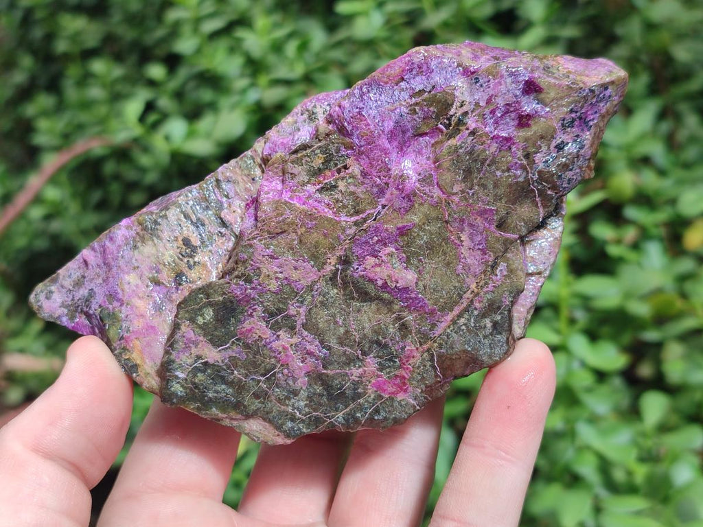 Natural Cobbed Stichtite Specimens x 12 From Barberton, South Africa - Toprock Gemstones and Minerals 