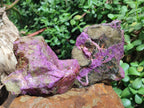 Natural Cobbed Stichtite Specimens x 12 From Barberton, South Africa - Toprock Gemstones and Minerals 