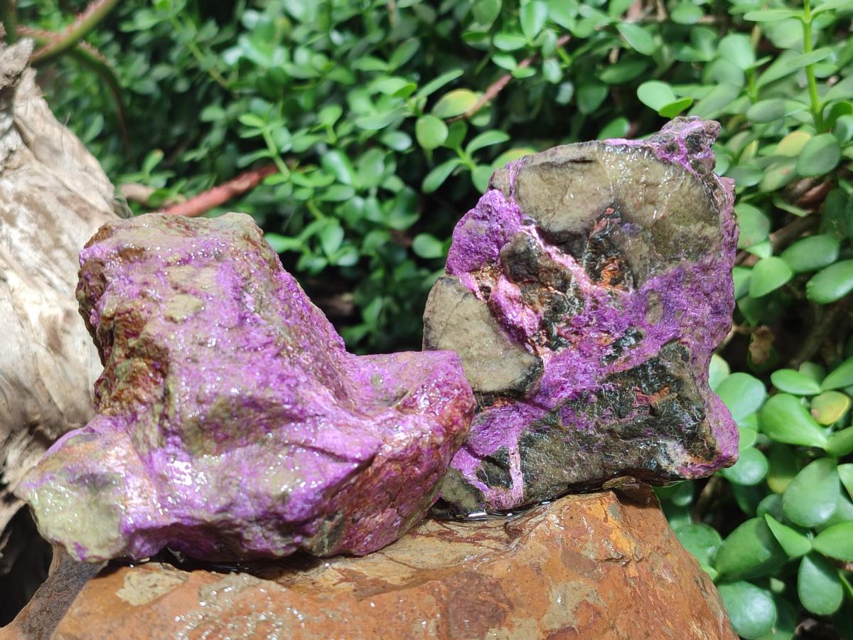 Natural Cobbed Stichtite Specimens x 12 From Barberton, South Africa - Toprock Gemstones and Minerals 