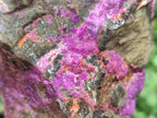 Natural Cobbed Stichtite Specimens x 12 From Barberton, South Africa - Toprock Gemstones and Minerals 