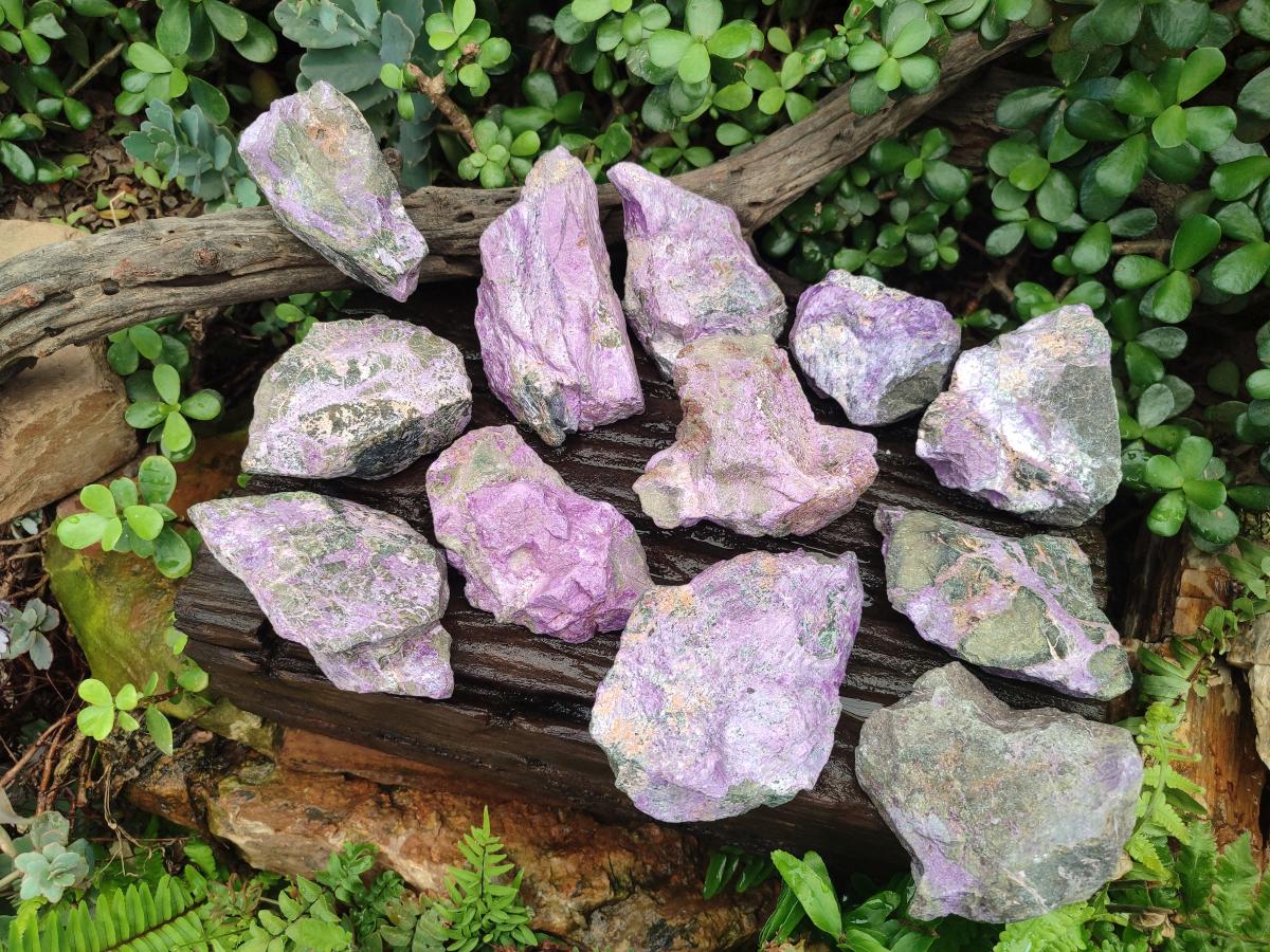 Natural Cobbed Stichtite Specimens x 12 From Barberton, South Africa - Toprock Gemstones and Minerals 