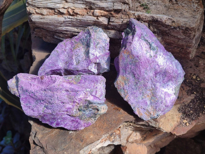 Natural Cobbed Stichtite Specimens x 12 From Barberton, South Africa - Toprock Gemstones and Minerals 