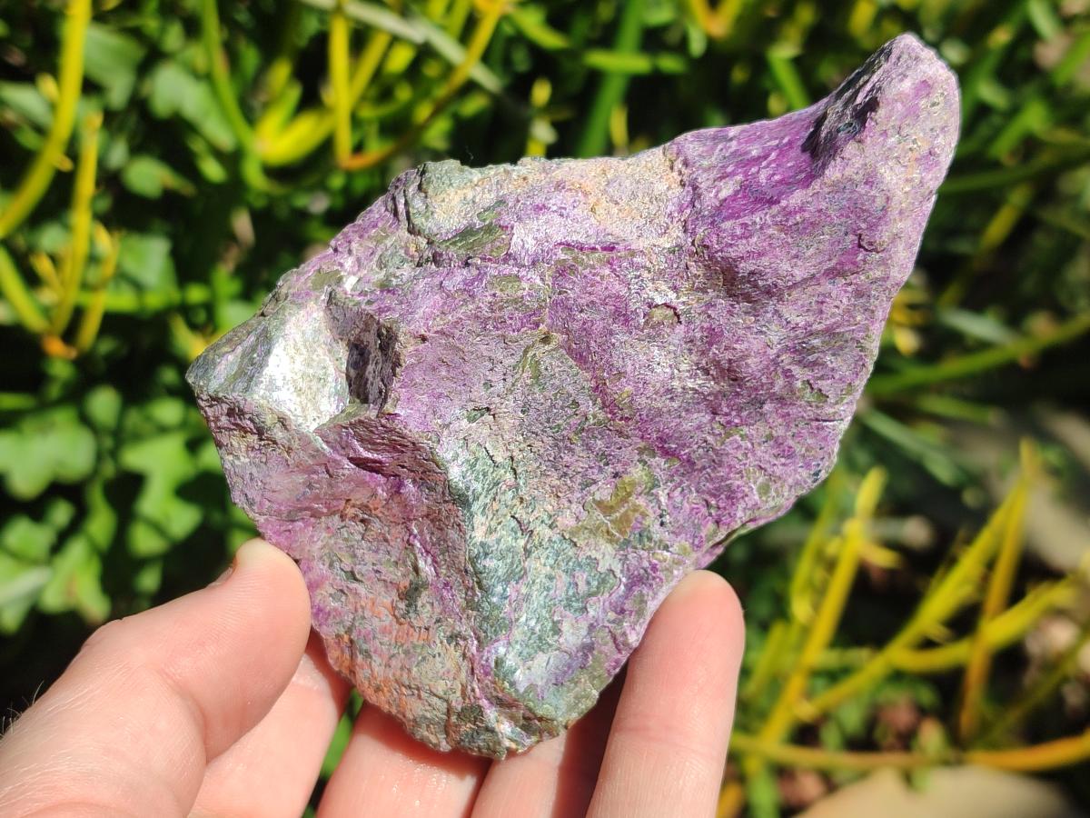 Natural Cobbed Stichtite Specimens x 12 From Barberton, South Africa - Toprock Gemstones and Minerals 