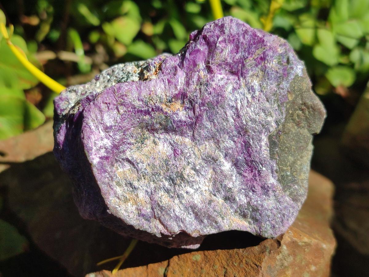 Natural Cobbed Stichtite Specimens x 12 From Barberton, South Africa - Toprock Gemstones and Minerals 