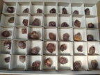 Natural Smokey Skeletal Window Amethyst Crystals x 35 From Madagascar - Toprock Gemstones and Minerals 