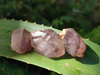 Natural Smokey Skeletal Window Amethyst Crystals x 35 From Madagascar - Toprock Gemstones and Minerals 