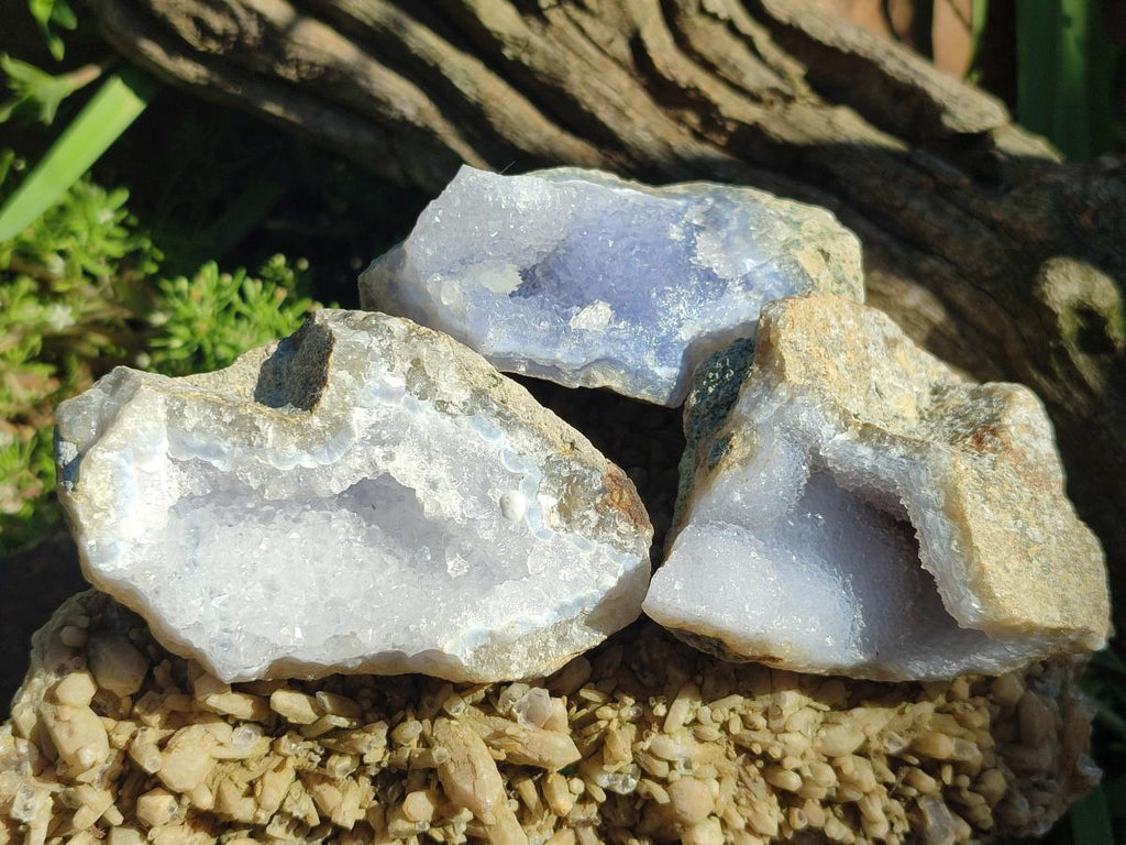 Natural Blue Lace Agate Geode Specimens x 24 From Nsanje, Malawi - Toprock Gemstones and Minerals 