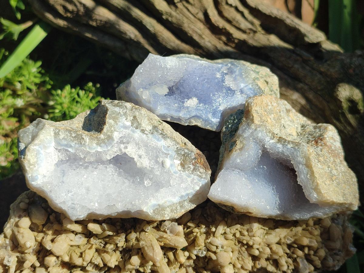 Natural Blue Lace Agate Geode Specimens x 24 From Nsanje, Malawi - Toprock Gemstones and Minerals 
