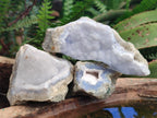 Natural Blue Lace Agate Geode Specimens x 24 From Nsanje, Malawi - Toprock Gemstones and Minerals 