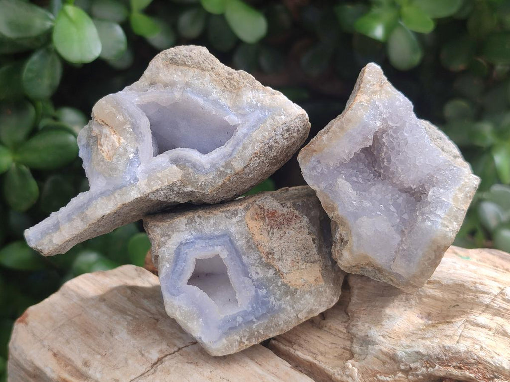 Natural Blue Lace Agate Geode Specimens x 24 From Nsanje, Malawi - Toprock Gemstones and Minerals 