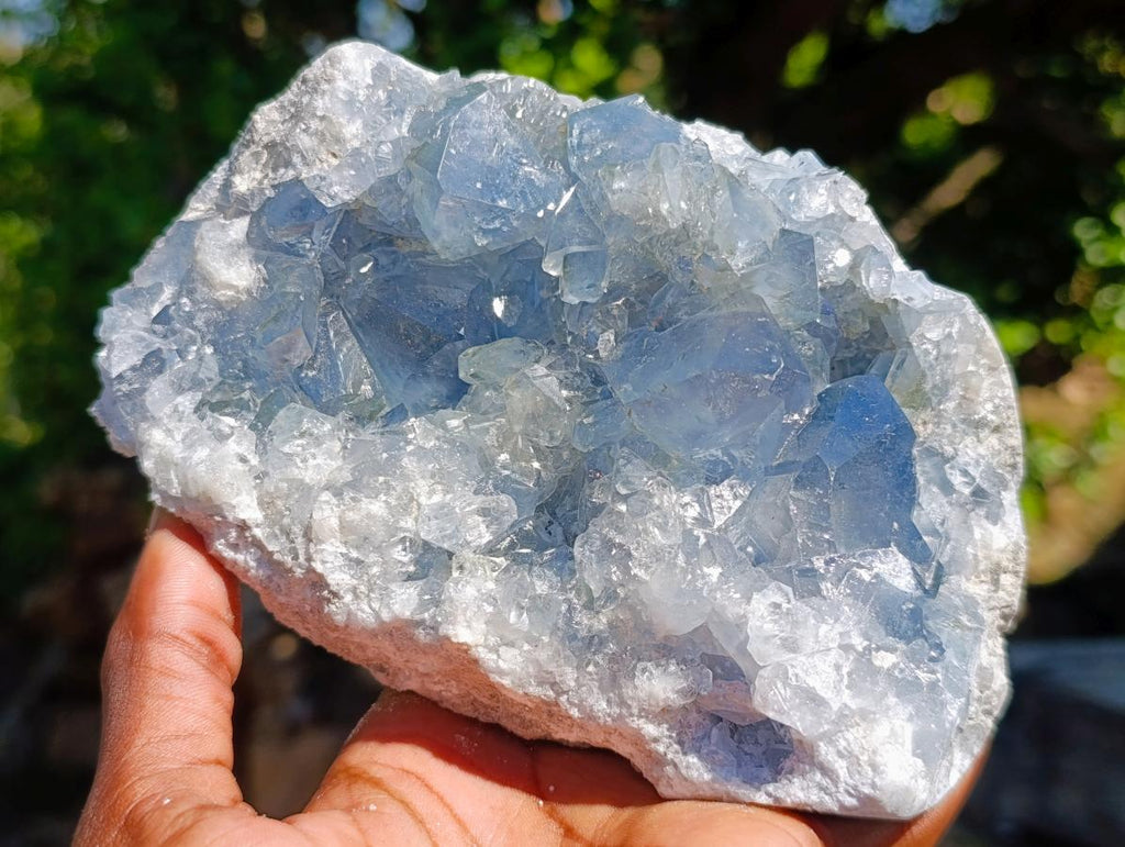 Natural Large Blue Celestite Specimen x 1 From Sakoany, Madagascar - Toprock Gemstones and Minerals 
