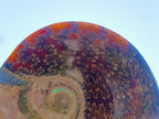 Polished Whole Red Ammolite "Jigsaw" Cleoniceras Opalized Ammonite Fossils x 2 From Tulear, Madagascar - Toprock Gemstones and Minerals 