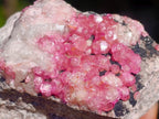 Natural Spherocobaltite Specimens x 6 From Mashamba West Mine, Congo - Toprock Gemstones and Minerals 