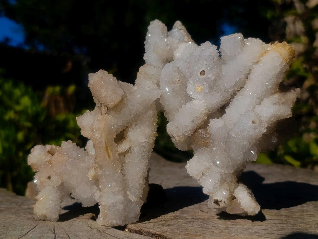 Natural Drusy Snow Finger Quartz Coated Clusters x 6 From Albert's Mountain, Lesotho - Toprock Gemstones and Minerals 