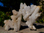 Natural Drusy Snow Finger Quartz Coated Clusters x 6 From Albert's Mountain, Lesotho - Toprock Gemstones and Minerals 