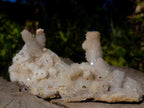 Natural Drusy Snow Finger Quartz Coated Clusters x 6 From Albert's Mountain, Lesotho - Toprock Gemstones and Minerals 