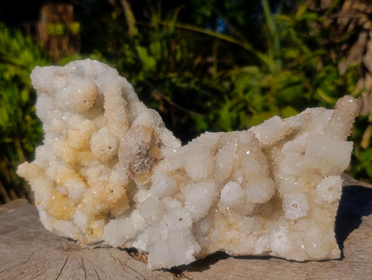 Natural Drusy Snow Finger Quartz Coated Clusters x 6 From Albert's Mountain, Lesotho - Toprock Gemstones and Minerals 