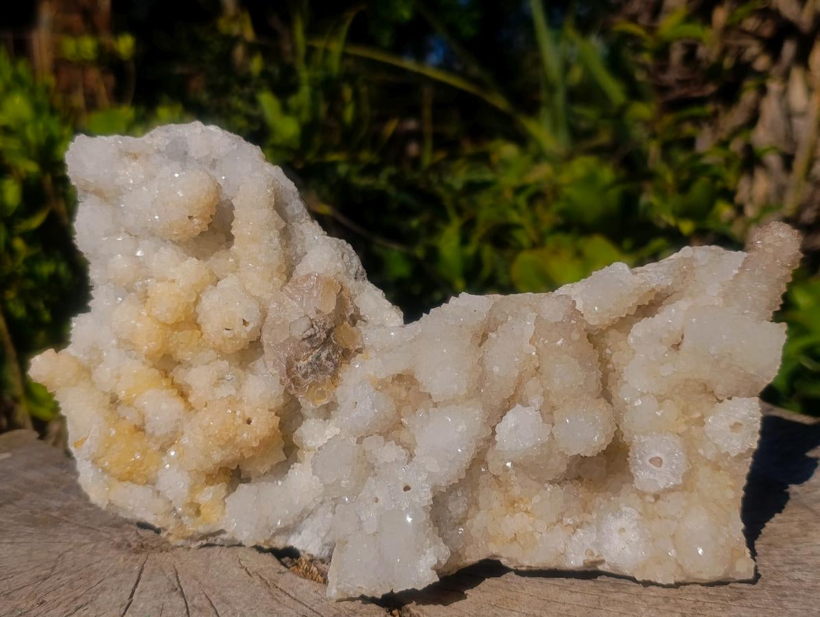 Natural Drusy Snow Finger Quartz Coated Clusters x 6 From Albert's Mountain, Lesotho - Toprock Gemstones and Minerals 
