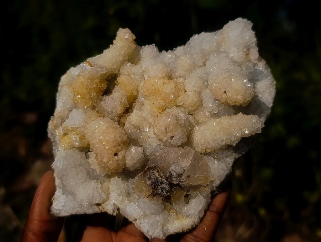 Natural Drusy Snow Finger Quartz Coated Clusters x 6 From Albert's Mountain, Lesotho - Toprock Gemstones and Minerals 