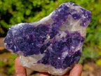 Polished One Side Silver Leaf Lepidolite Slices x 12 From Zimbabwe - Toprock Gemstones and Minerals 