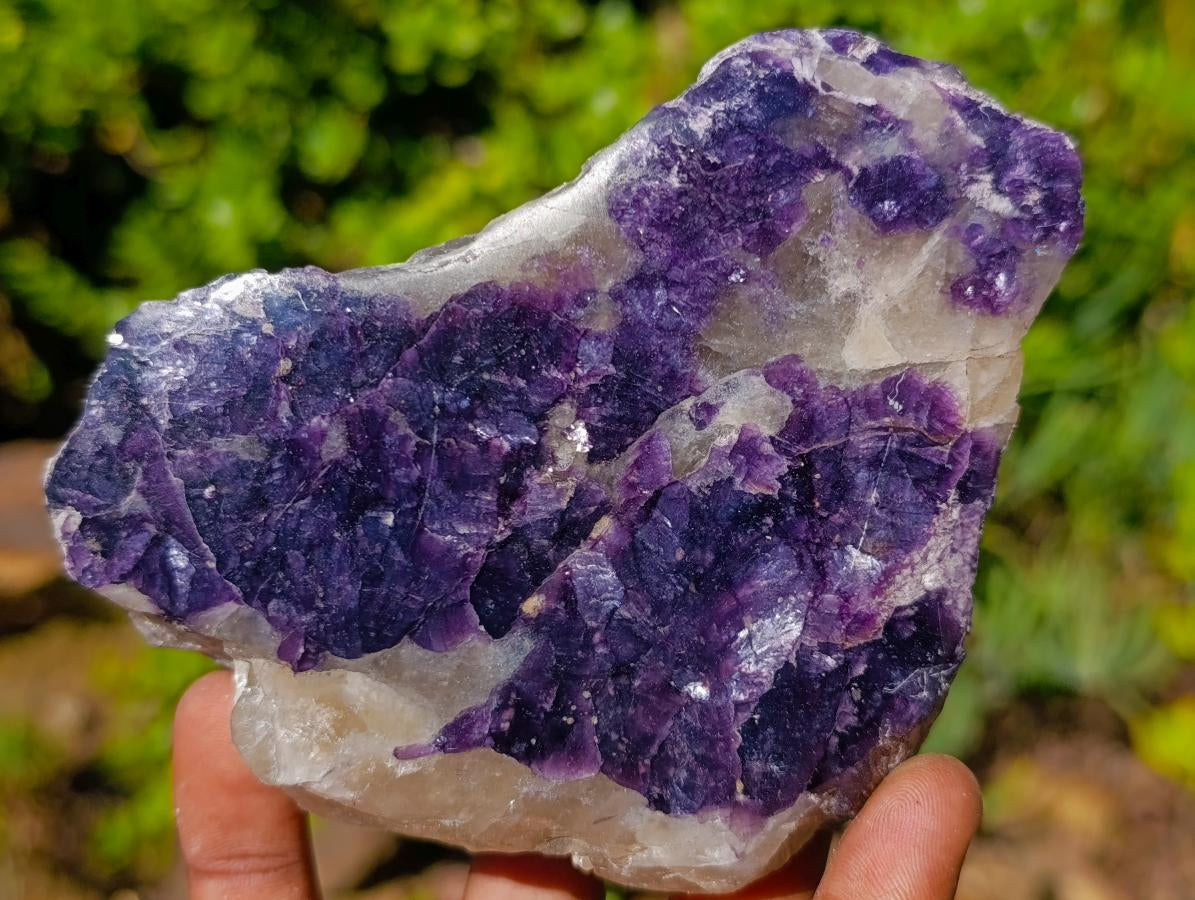 Polished One Side Silver Leaf Lepidolite Slices x 12 From Zimbabwe - Toprock Gemstones and Minerals 