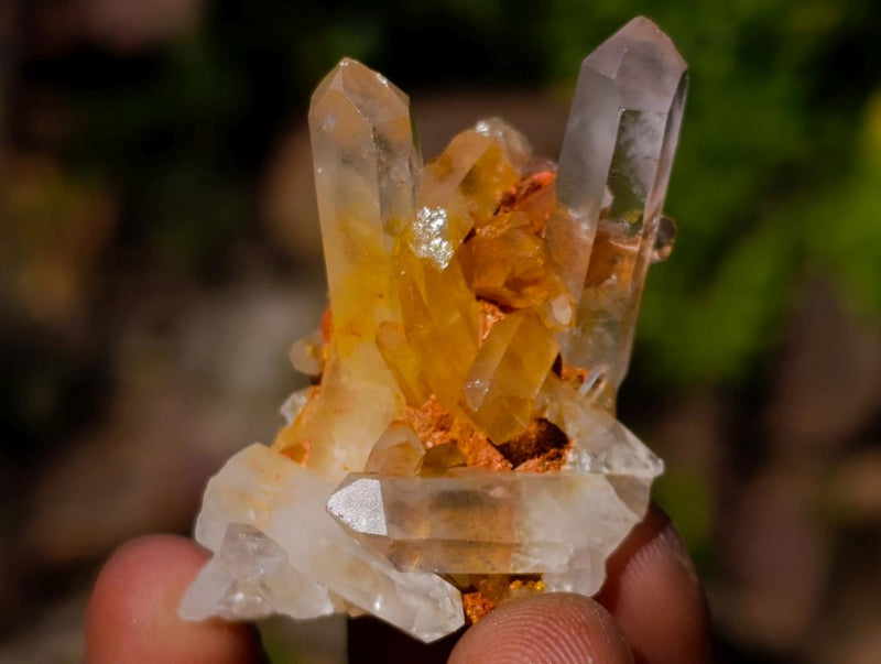 Natural Malagasy Quartz Crystals and Clusters x 71 From Madagascar - Toprock Gemstones and Minerals 