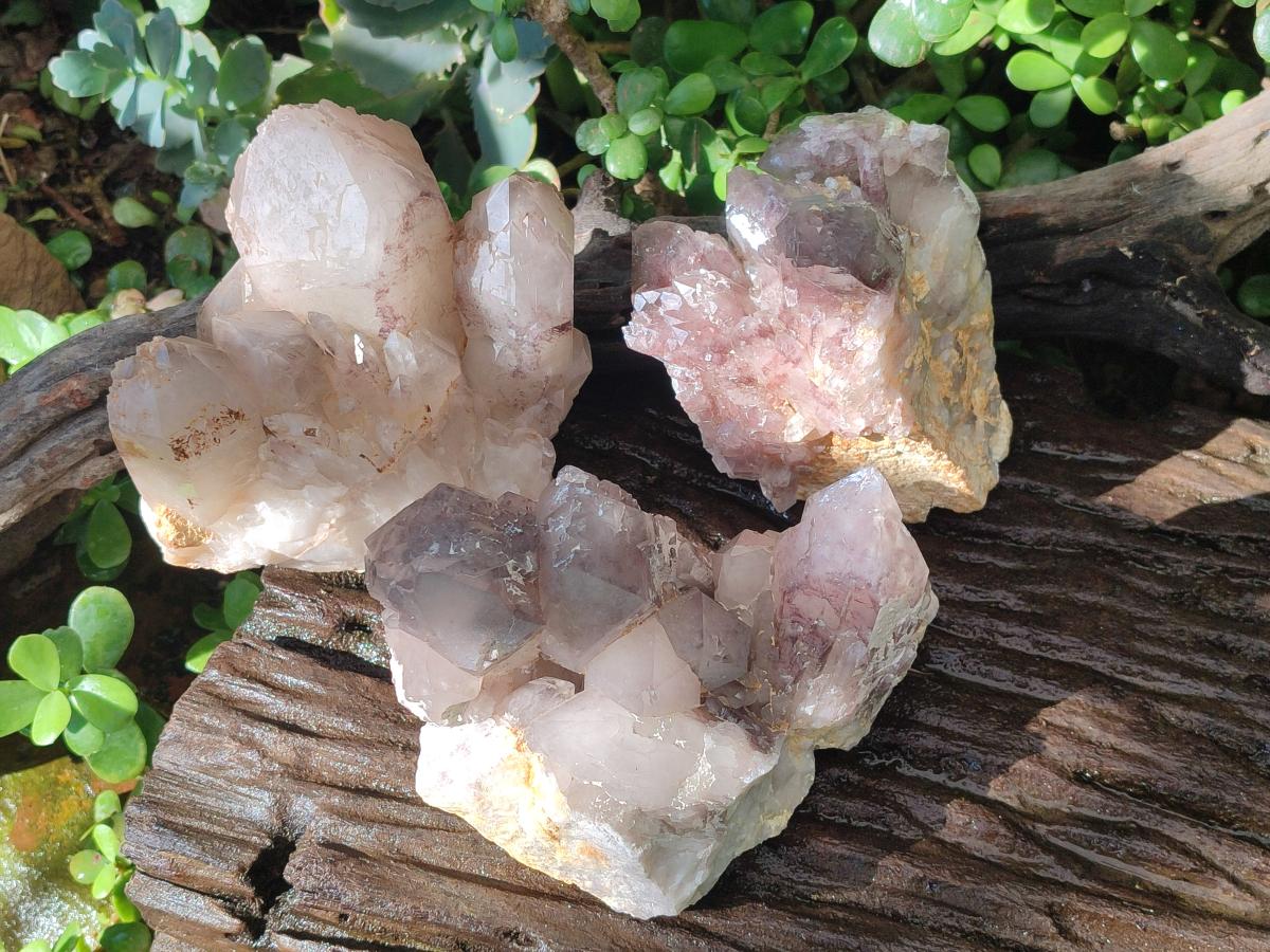 Natural Red Hematoid Quartz Clusters x 3 From Karoi, Zimbabwe - Toprock Gemstones and Minerals 