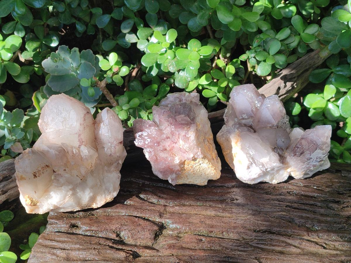Natural Red Hematoid Quartz Clusters x 3 From Karoi, Zimbabwe - Toprock Gemstones and Minerals 