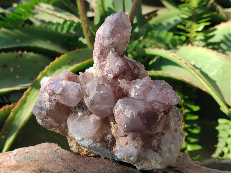 Natural Red Hematoid Quartz Clusters x 3 From Karoi, Zimbabwe - Toprock Gemstones and Minerals 