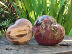 Polished Large Red Podocarpus Petrified Wood Hearts x 2 From Mahajanga, Madagascar - Toprock Gemstones and Minerals 