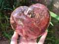 Polished Large Red Podocarpus Petrified Wood Hearts x 2 From Mahajanga, Madagascar - Toprock Gemstones and Minerals 