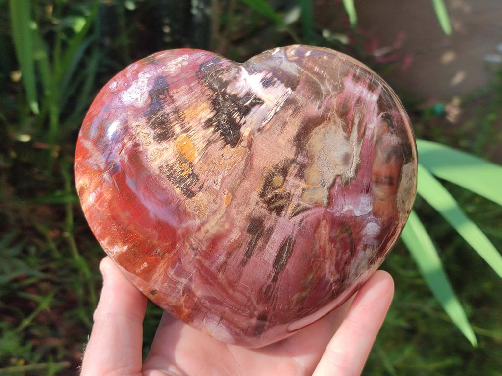 Polished Large Red Podocarpus Petrified Wood Hearts x 2 From Mahajanga, Madagascar - Toprock Gemstones and Minerals 