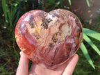 Polished Large Red Podocarpus Petrified Wood Hearts x 2 From Mahajanga, Madagascar - Toprock Gemstones and Minerals 