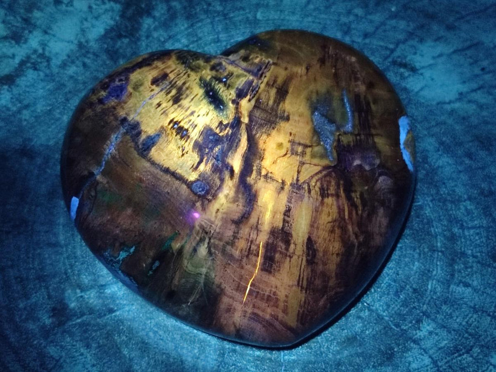 Polished Large Red Podocarpus Petrified Wood Hearts x 2 From Mahajanga, Madagascar - Toprock Gemstones and Minerals 