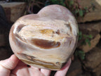 Polished Large Red Podocarpus Petrified Wood Hearts x 2 From Mahajanga, Madagascar - Toprock Gemstones and Minerals 