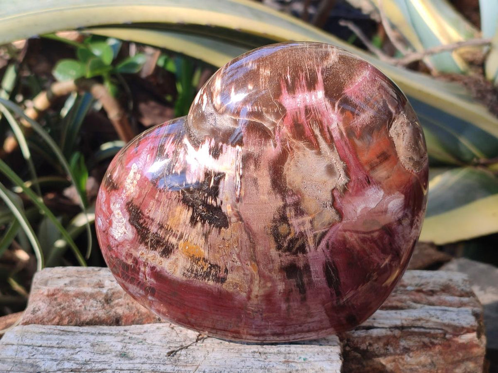 Polished Large Red Podocarpus Petrified Wood Hearts x 2 From Mahajanga, Madagascar - Toprock Gemstones and Minerals 