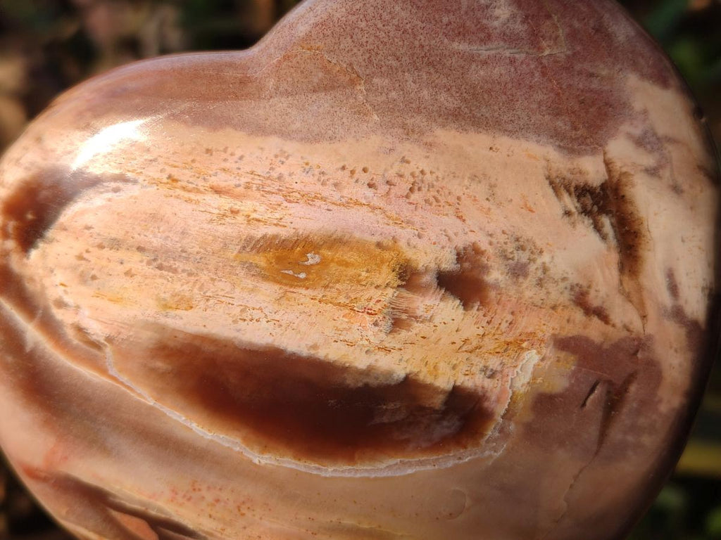 Polished Large Red Podocarpus Petrified Wood Hearts x 2 From Mahajanga, Madagascar - Toprock Gemstones and Minerals 