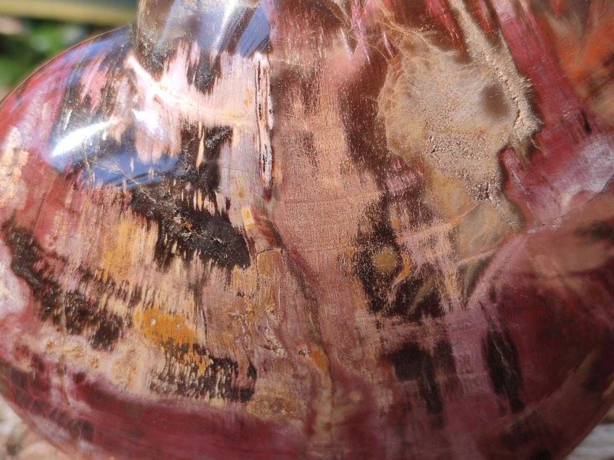 Polished Large Red Podocarpus Petrified Wood Hearts x 2 From Mahajanga, Madagascar - Toprock Gemstones and Minerals 