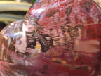 Polished Large Red Podocarpus Petrified Wood Hearts x 2 From Mahajanga, Madagascar - Toprock Gemstones and Minerals 
